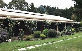 Helen'S Homestead